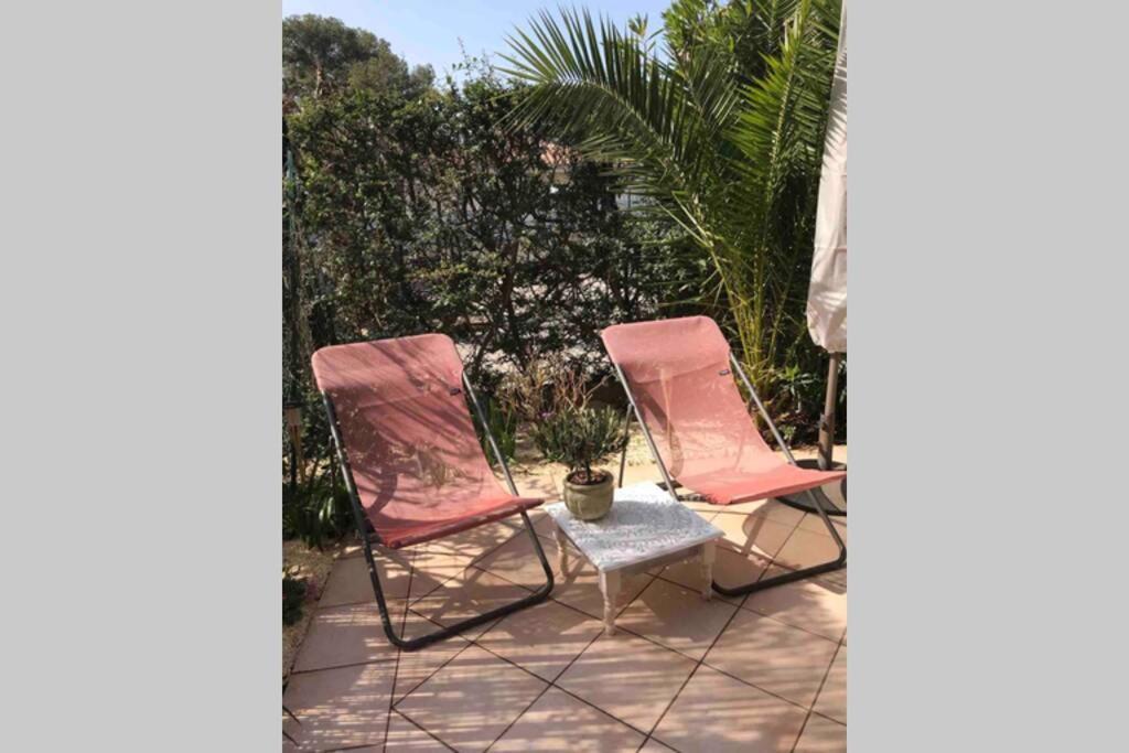 La Petite Pinede Studio Climatise Proche Plage Sanary-sur-Mer Eksteriør billede